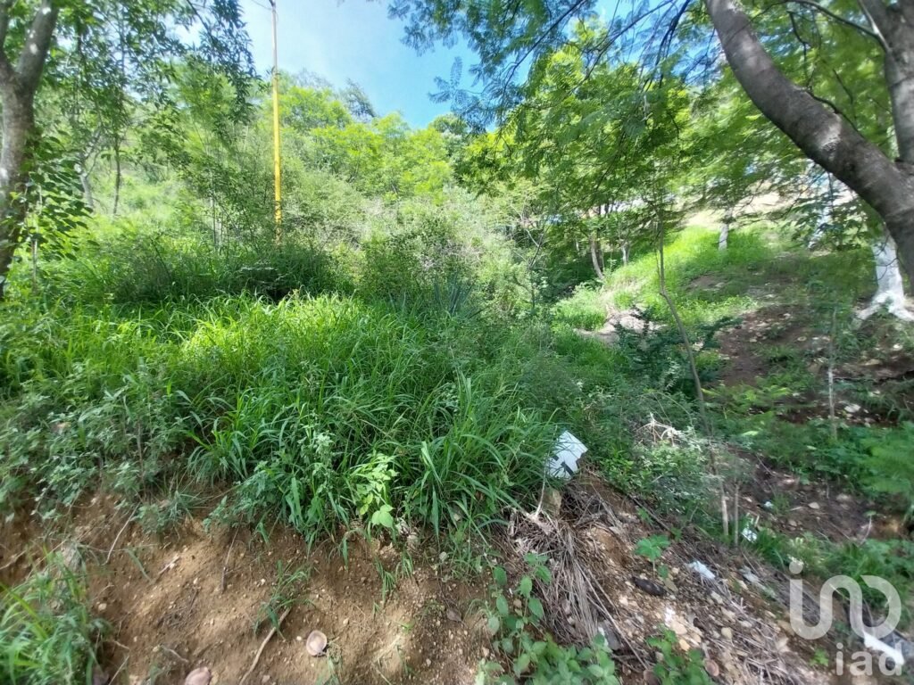TERRENO EN VENTA EN EL CENTRO HISTÓRICO