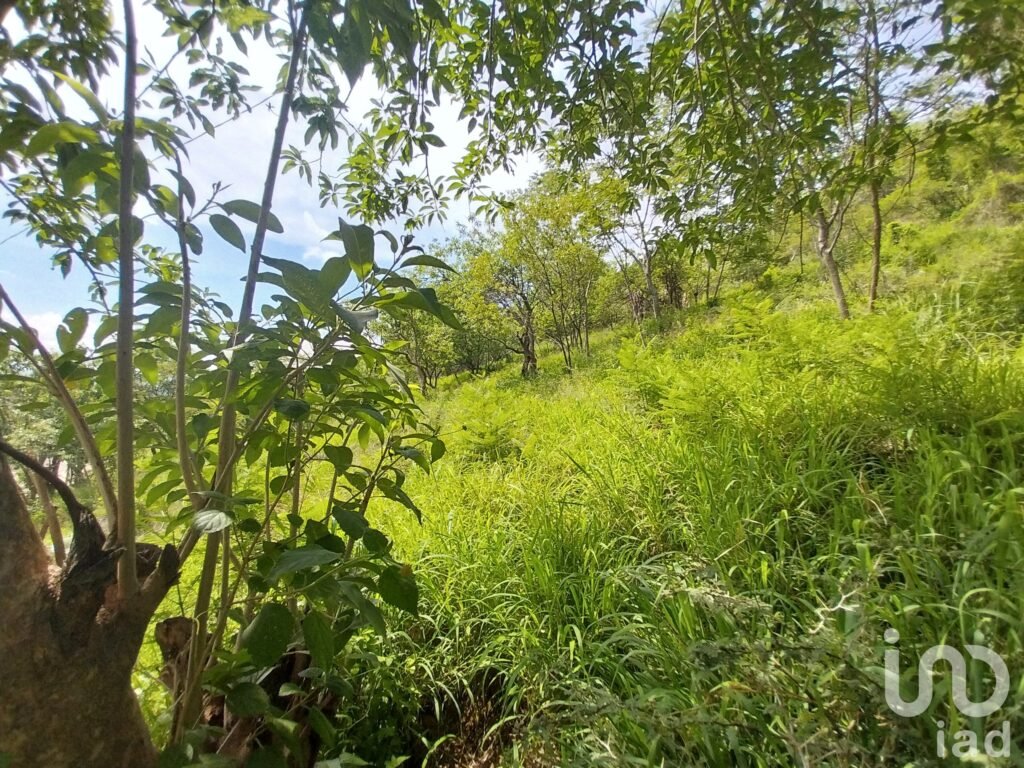 TERRENO EN VENTA EN EL CENTRO HISTÓRICO