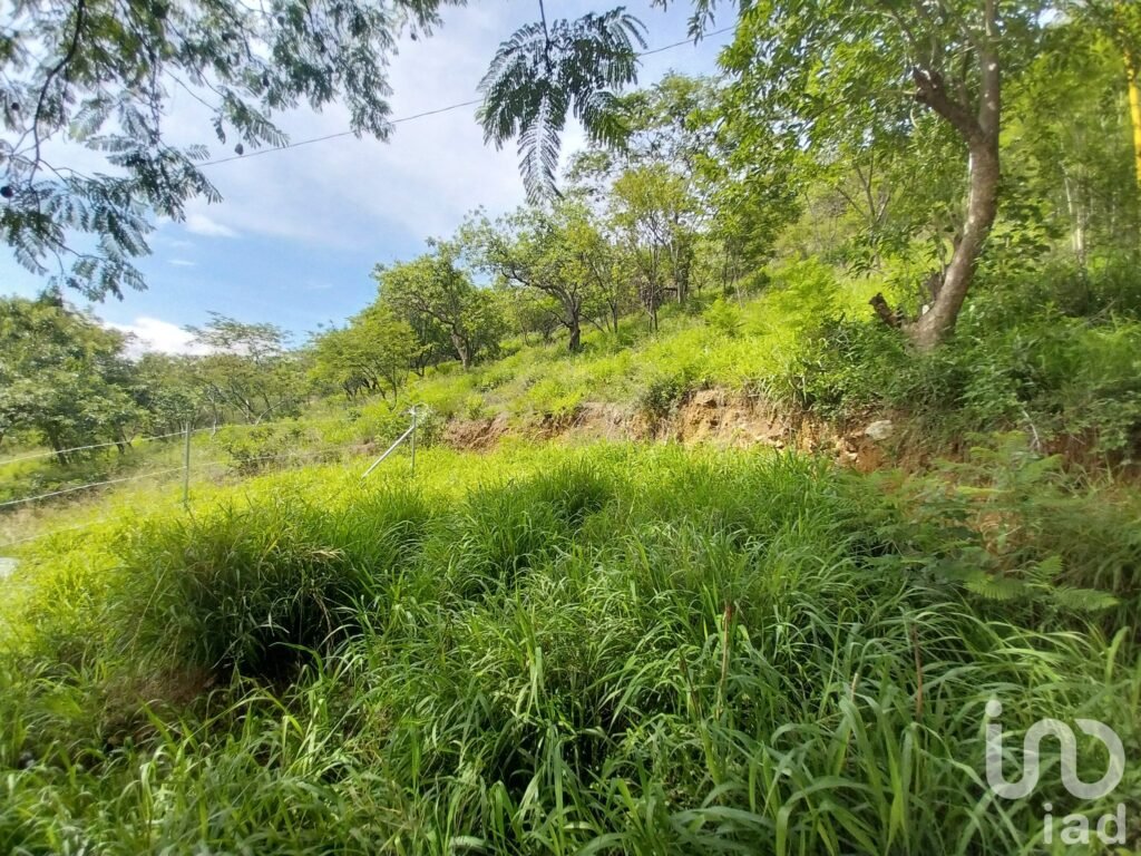 TERRENO EN VENTA EN EL CENTRO HISTÓRICO