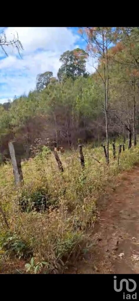 Venta de Terreno Agrícola 6.4 Ha en Villa Madero – Escriturado – Ideal Aguacate y Agave