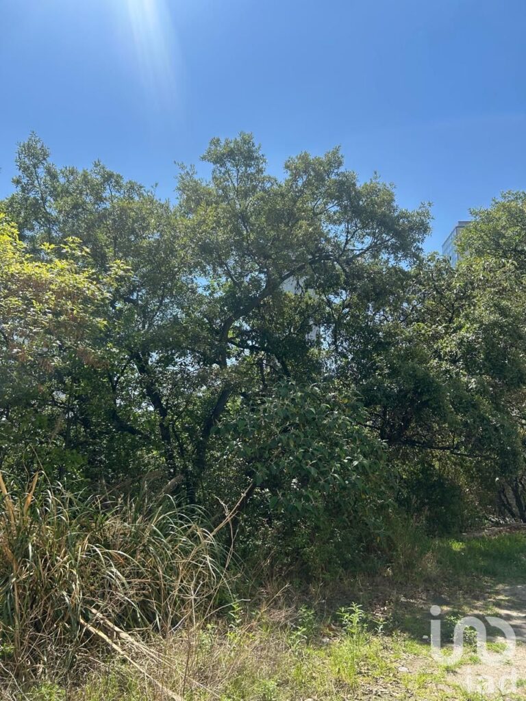 TERRENO EN VENTA EN BOSQUE REAL