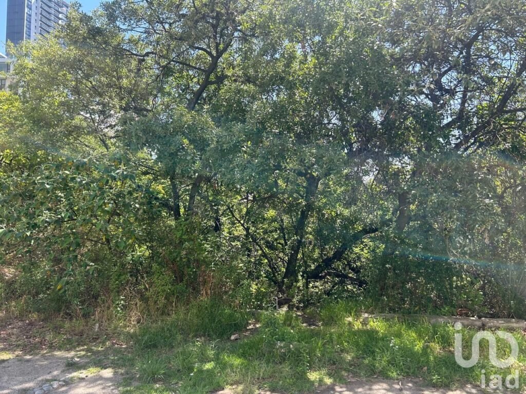 TERRENO EN VENTA EN BOSQUE REAL