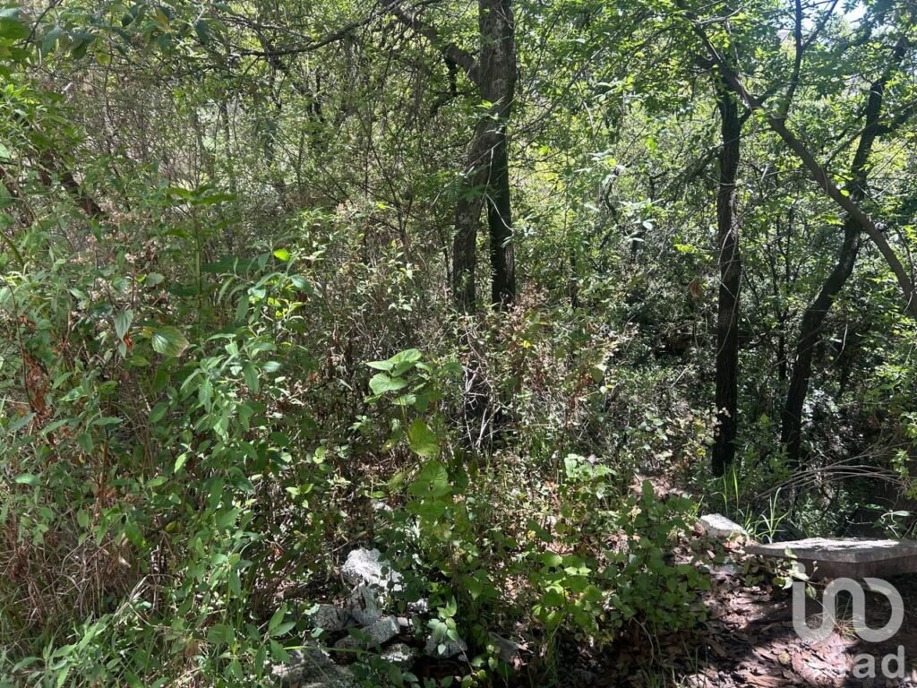 TERRENO EN VENTA EN BOSQUE REAL