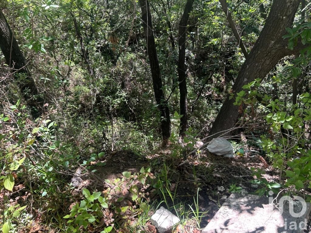 TERRENO EN VENTA EN BOSQUE REAL
