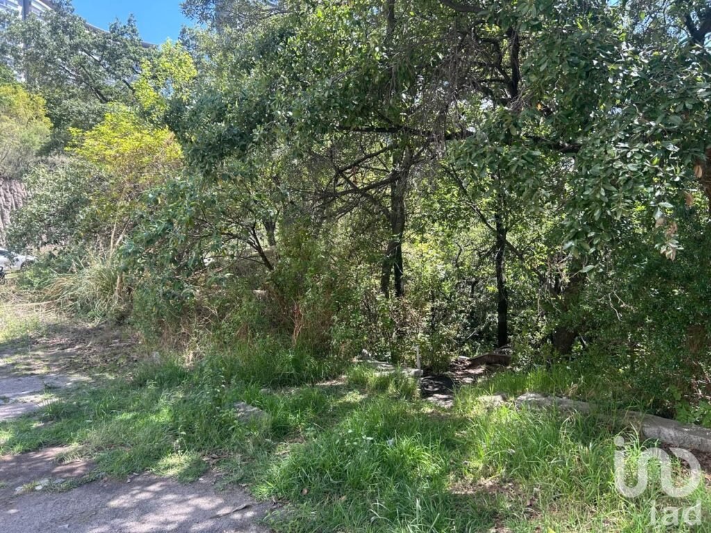 TERRENO EN VENTA EN BOSQUE REAL