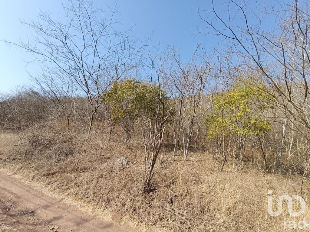 Terreno Cerril con presencia de Balastre