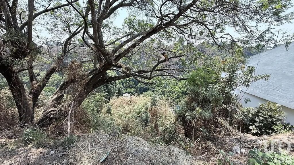 Terreno con increíble vista en Rancho Cortés, precio altamente competitivo