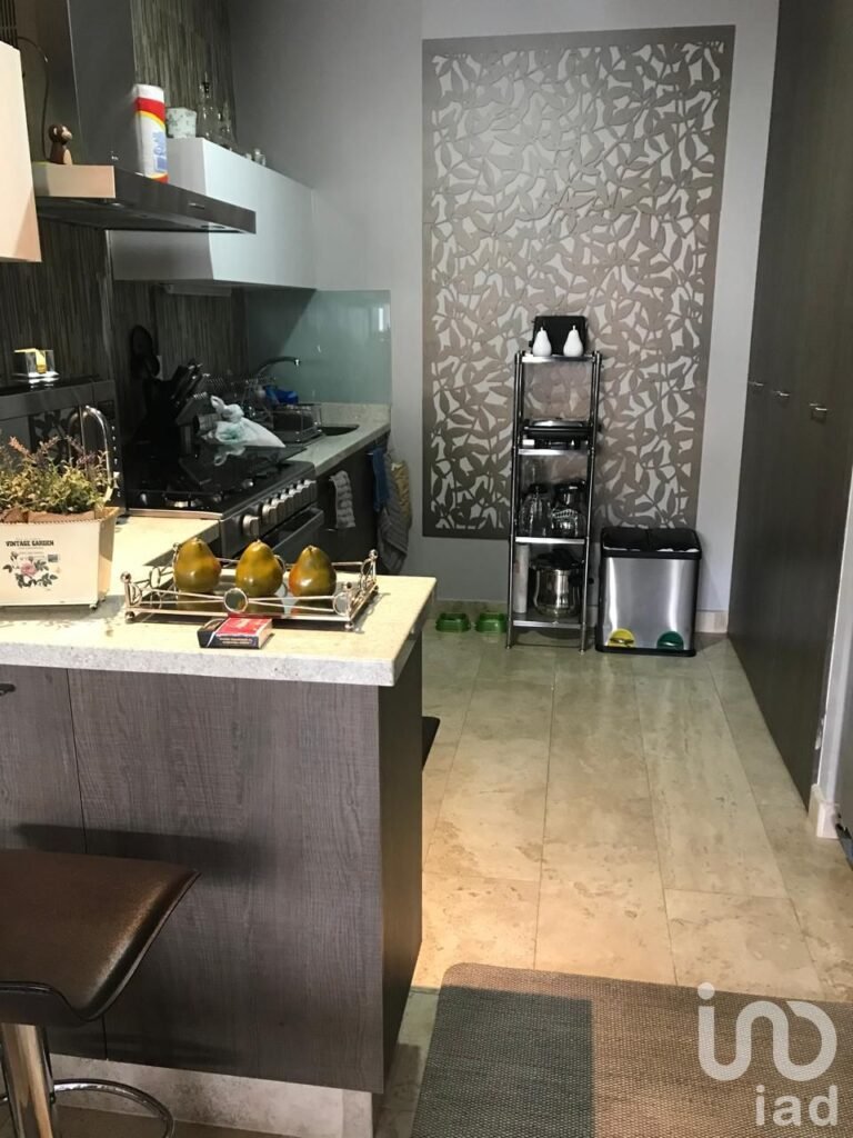 EXCLUSIVO DEPARTAMENTO EN VENTA  SAN ANGEL ,ALVARO  OBREGON,CDMX