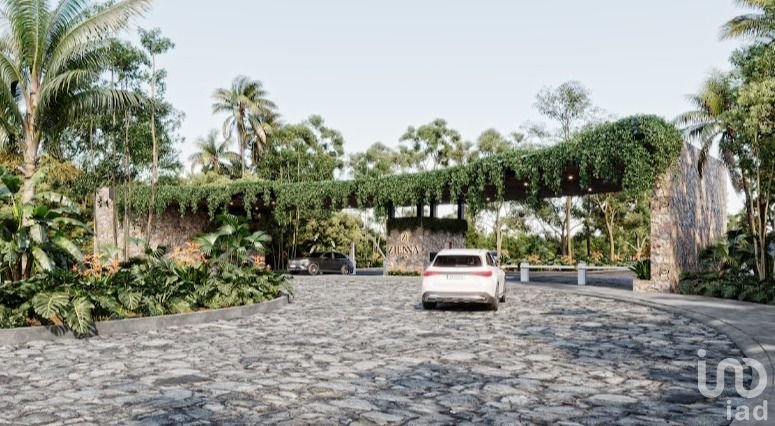 LOTES EN VENTA CANCÚN Z