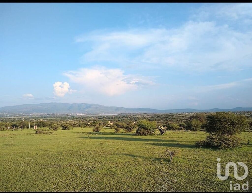 Terreno 5000 m2 en la Cieneguita detrás del Viñedo de Hacienda San José Lavista