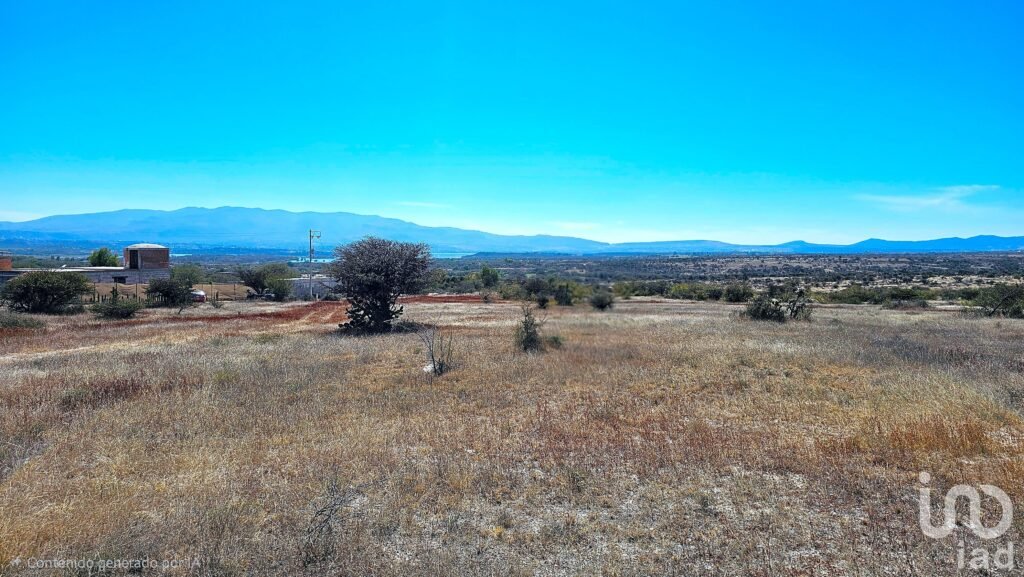 Terreno 5000 m2 en la Cieneguita detrás del Viñedo de Hacienda San José Lavista