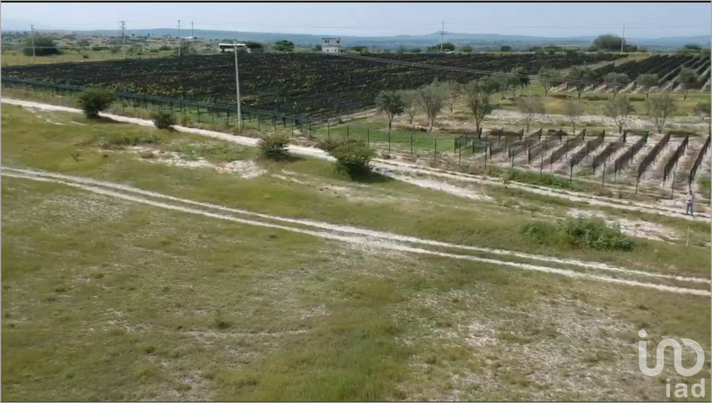 Terreno 5000 m2 en la Cieneguita detrás del Viñedo de Hacienda San José Lavista