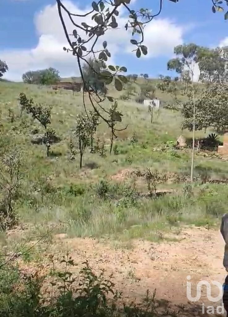 SE VENDE TERRENO DE 438000 METROS CUADRADOS EN CARRETERA A SAN CRISTOBAL JALISCO KM12