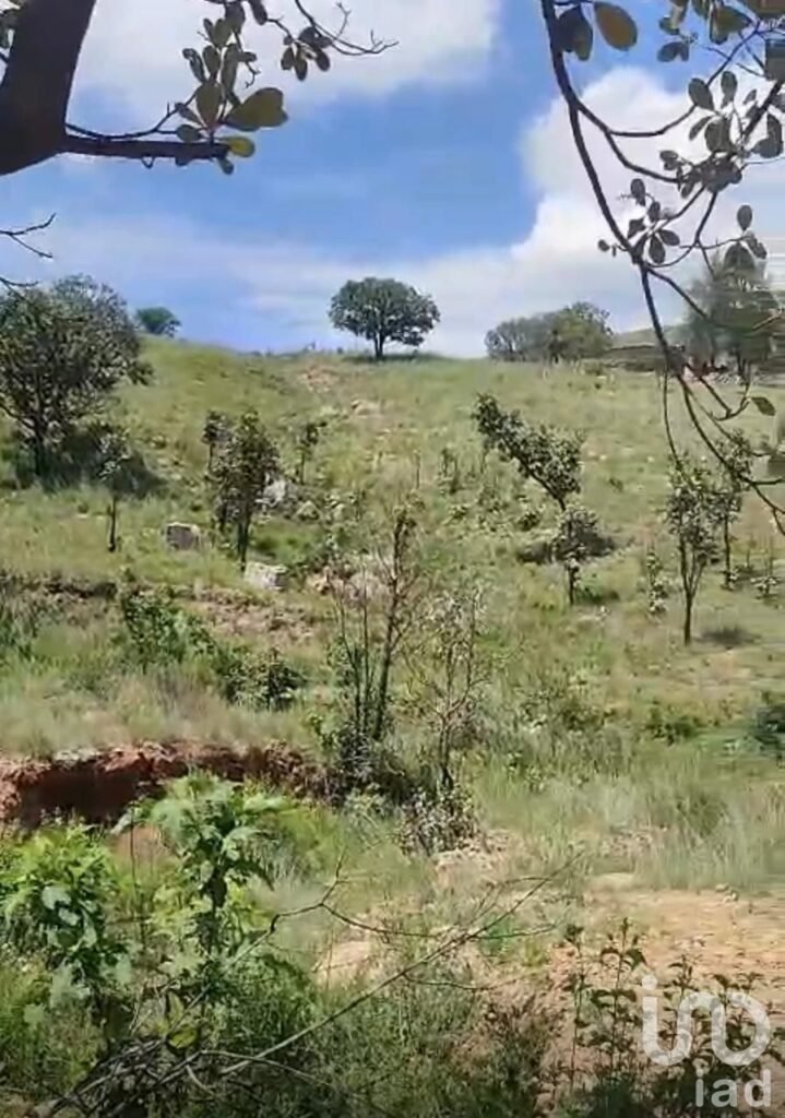 SE VENDE TERRENO DE 438000 METROS CUADRADOS EN CARRETERA A SAN CRISTOBAL JALISCO KM12