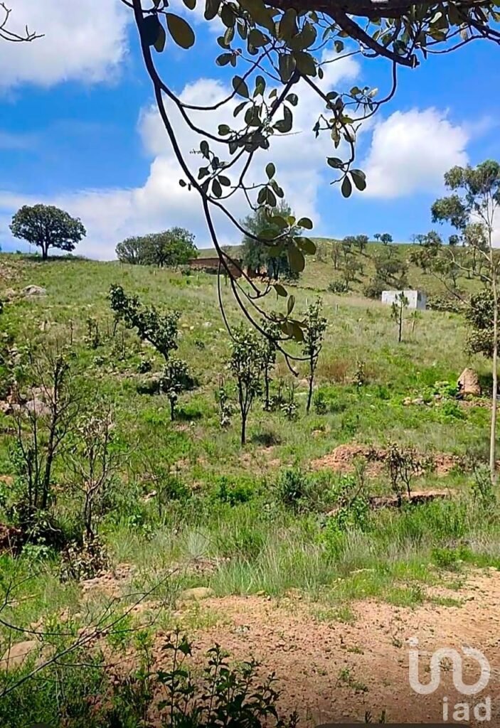 SE VENDE TERRENO DE 438000 METROS CUADRADOS EN CARRETERA A SAN CRISTOBAL JALISCO KM12