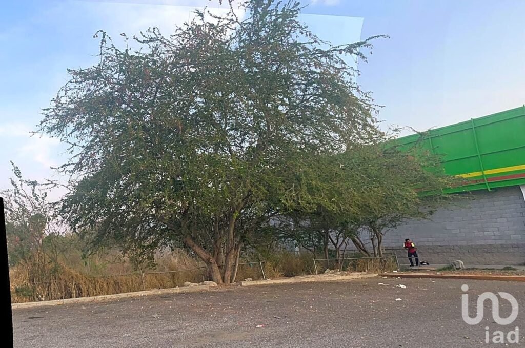 TERRENO ESTRATEGICO EN RENTA EN ZONA NORTE DE CHILPANCINGO GUERRERO, DESDE 2000M2, HASTA, 5,000M2