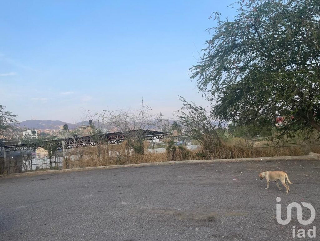 TERRENO ESTRATEGICO EN RENTA EN ZONA NORTE DE CHILPANCINGO GUERRERO, DESDE 2000M2, HASTA, 5,000M2