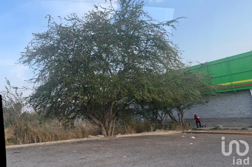TERRENO ESTRATEGICO EN RENTA EN ZONA NORTE DE CHILPANCINGO GUERRERO, DESDE 2000M2, HASTA, 5,000M2