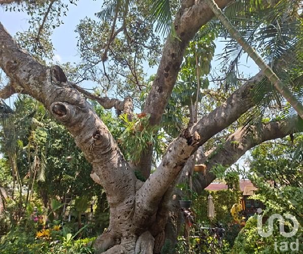 SE VENDE CASA EN ACAPANTZINGO