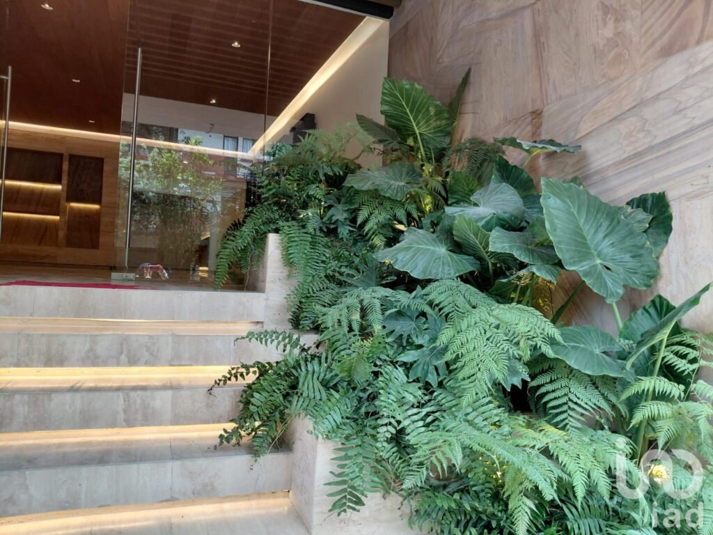 Venta de exclusivo departamento nuevo en Roma Sur