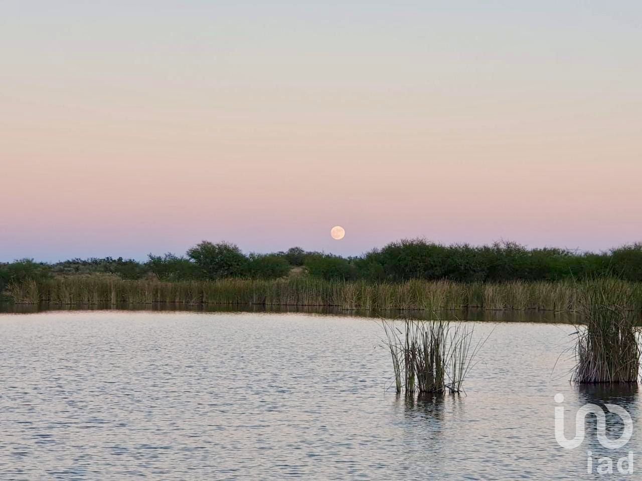 RANCHO EN VENTA CHINA NUEVO LEÓN RANCHO EN VENTA CHINA NUEVO LEÓN