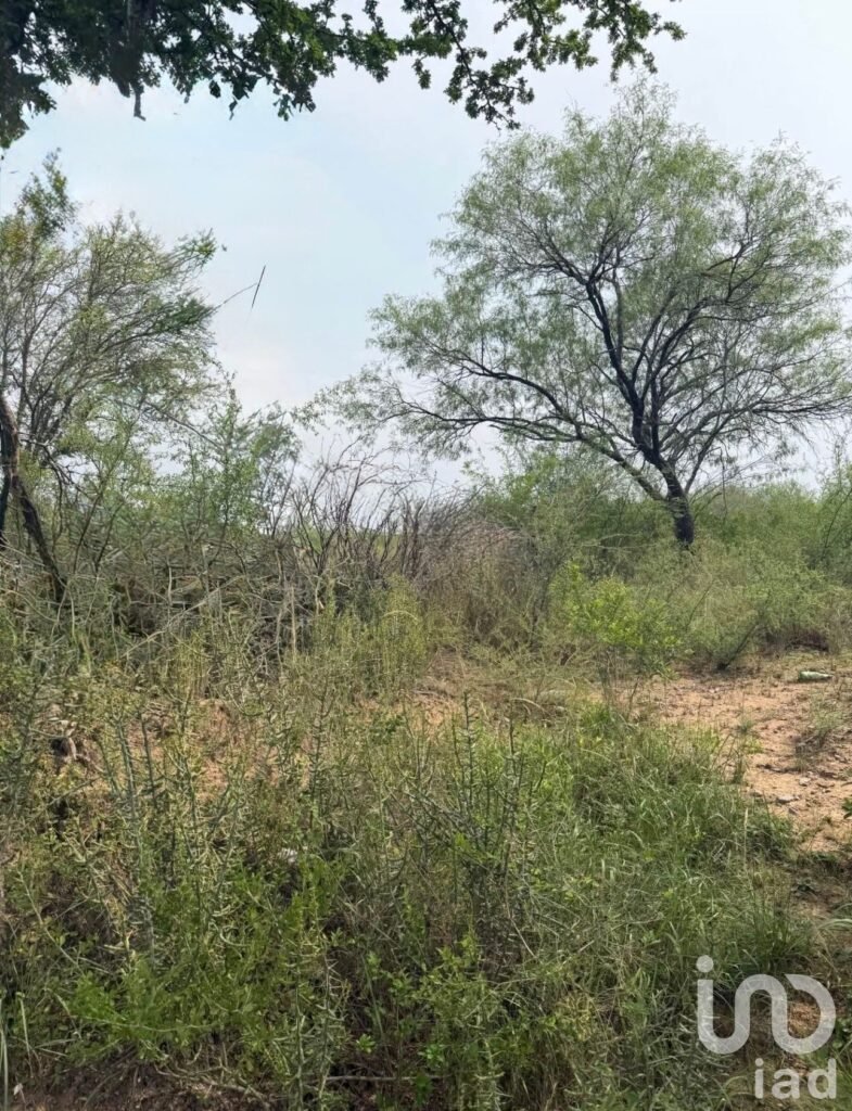 TERRENO EN VENTA | CADEREYTA, N.L.