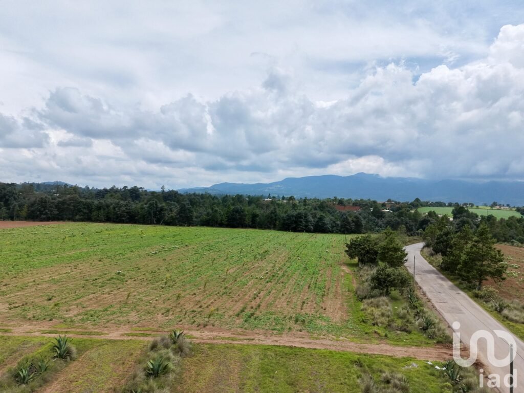 Macro Lotes en Venta en Zacatlán las Lajas para desarrollo