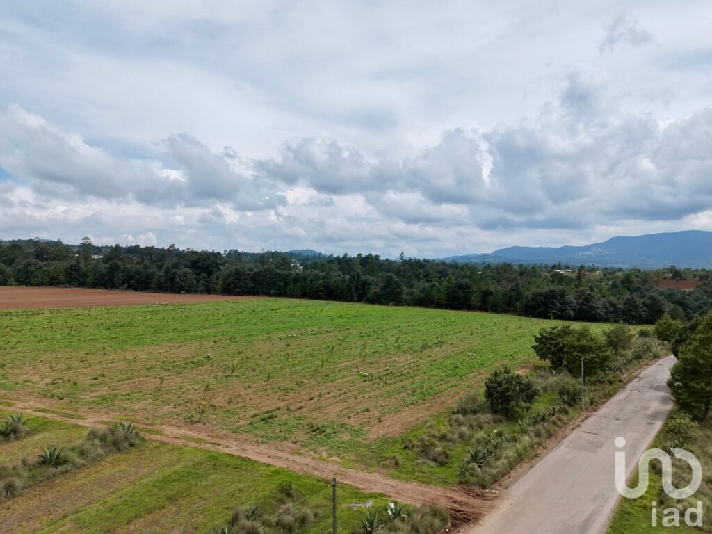 Macro Lotes en Venta en Zacatlán las Lajas para desarrollo