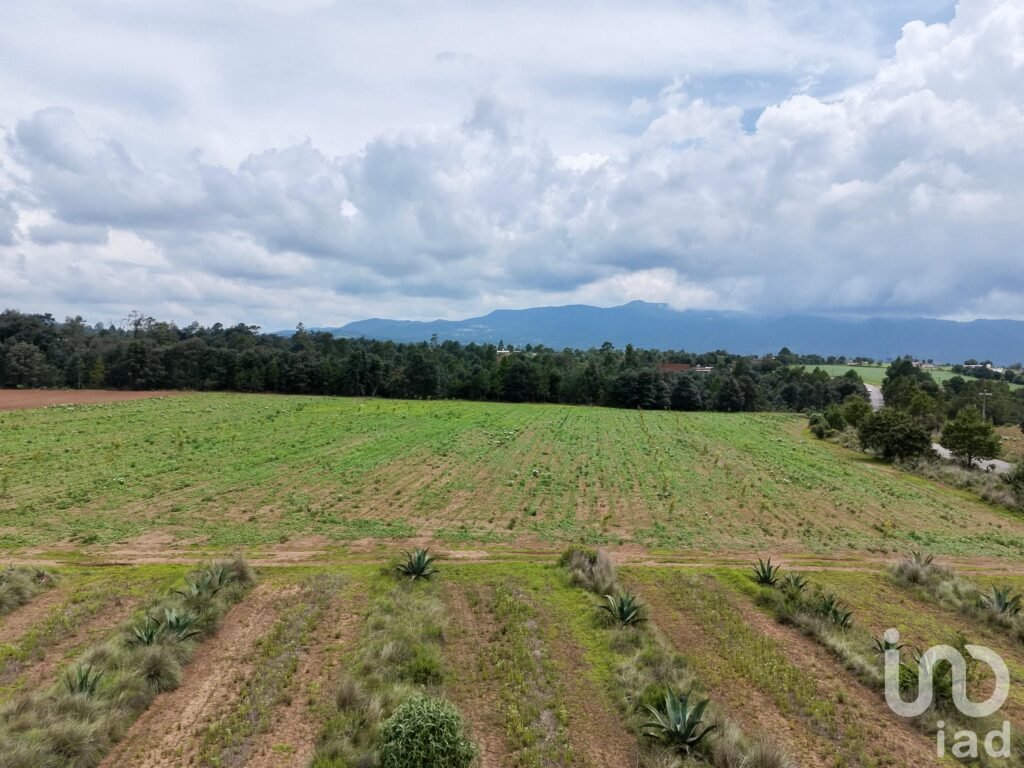 Macro Lotes en Venta en Zacatlán las Lajas para desarrollo