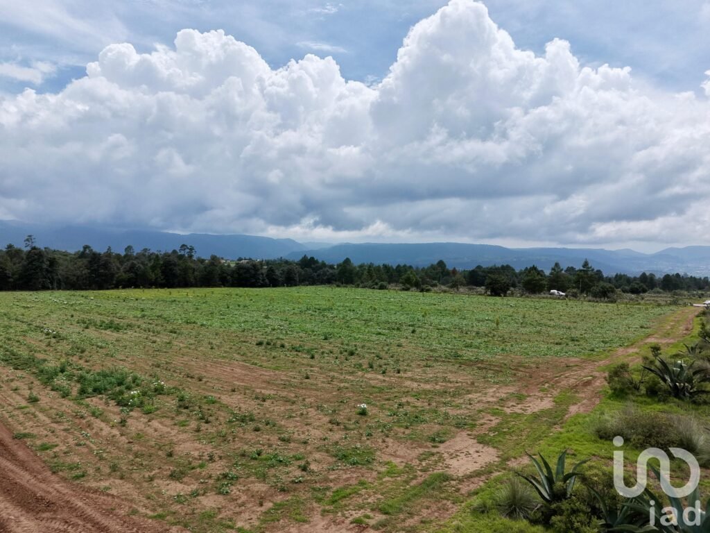 Macro Lotes en Venta en Zacatlán las Lajas para desarrollo
