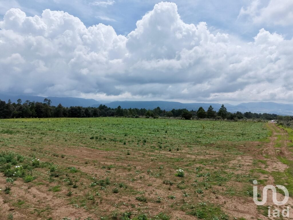 Macro Lotes en Venta en Zacatlán las Lajas para desarrollo