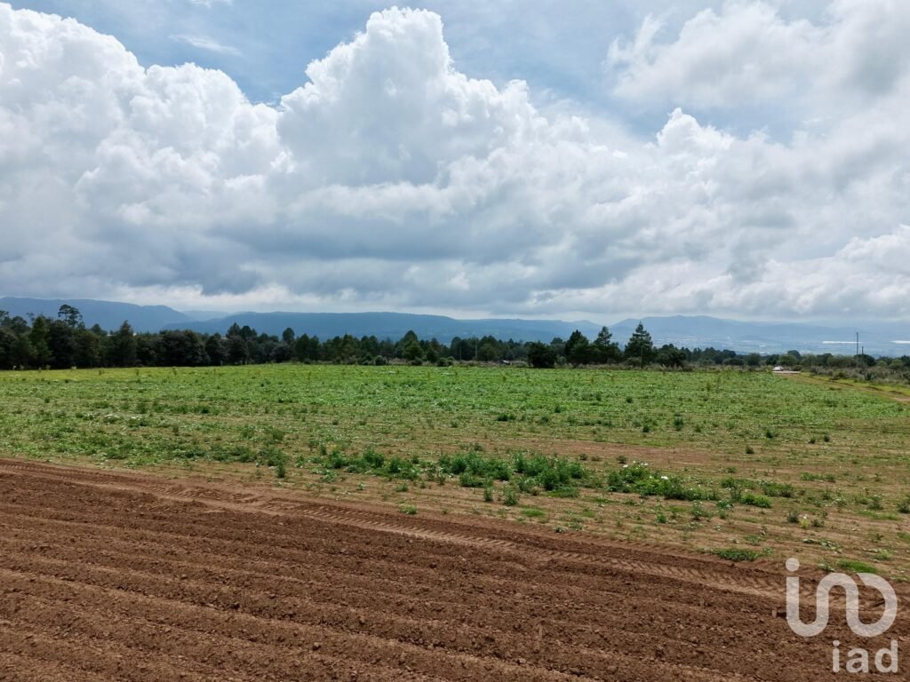 Macro Lotes en Venta en Zacatlán las Lajas para desarrollo