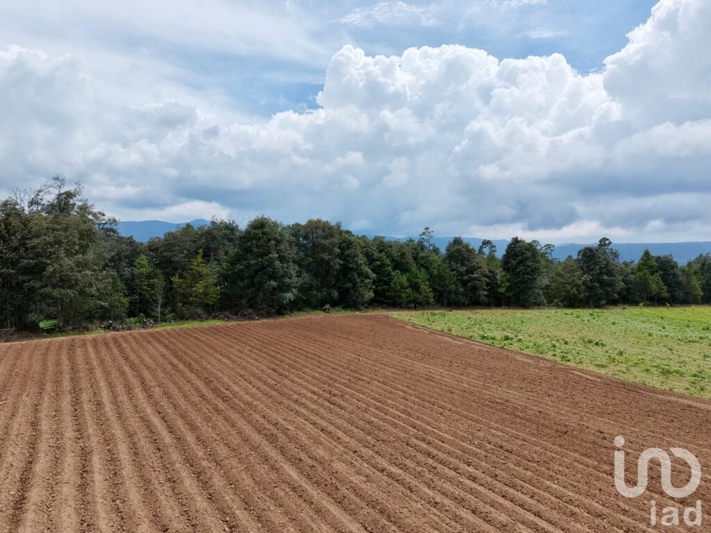Macro Lotes en Venta en Zacatlán las Lajas para desarrollo