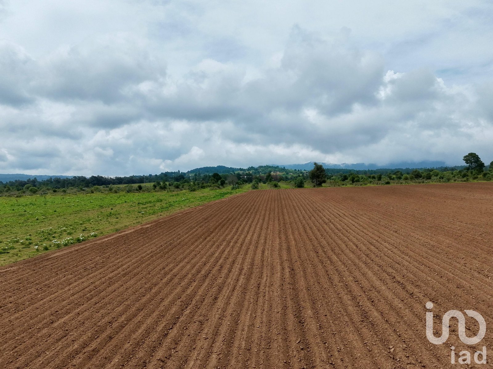 Macro Lotes en Venta en Zacatlán las Lajas para desarrollo