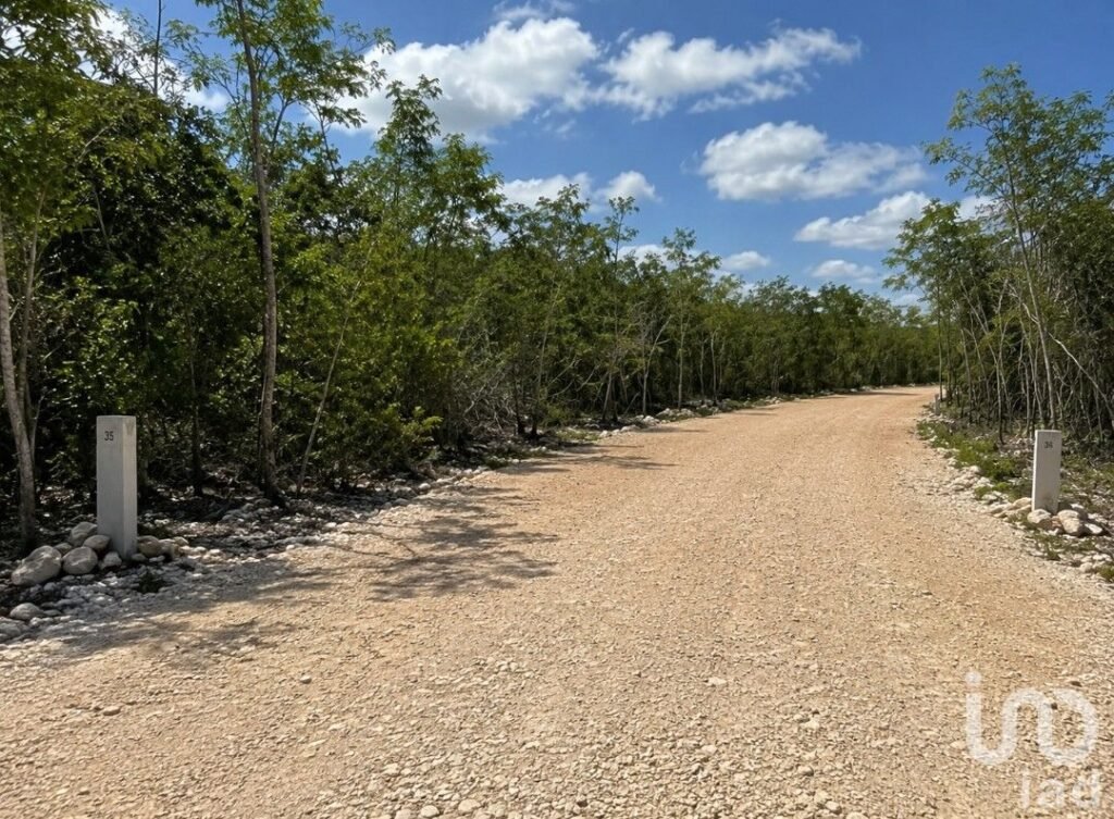 Terreno de inversión en el norte de Mérida