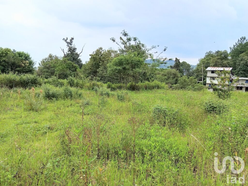 Terrenos en Venta Boulevard Bicentenario