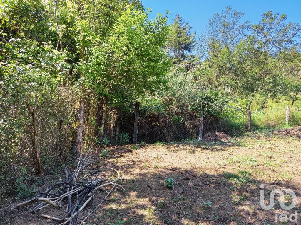 Se Vende Terreno. Col. Aurora. Huauchinango Puebla.
