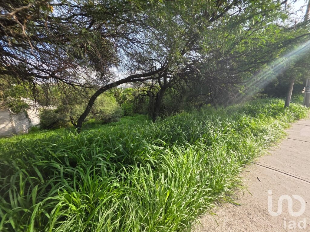 Terreno en Venta en Camino a Los Olvera