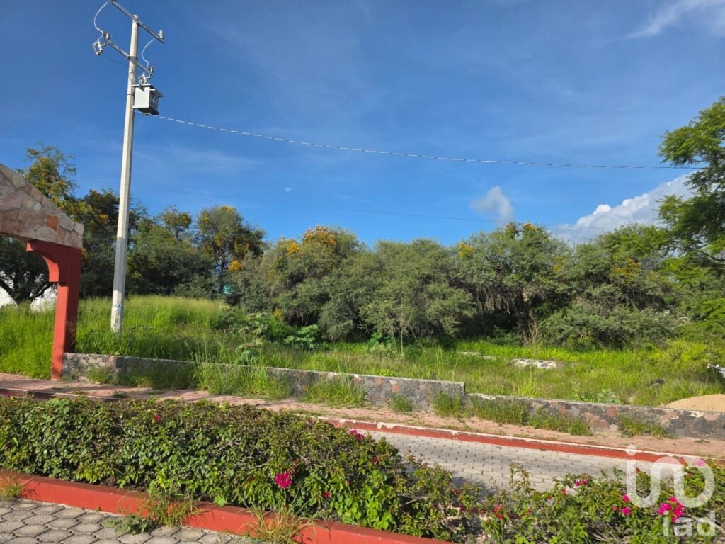 Terreno en Venta en Camino a Los Olvera