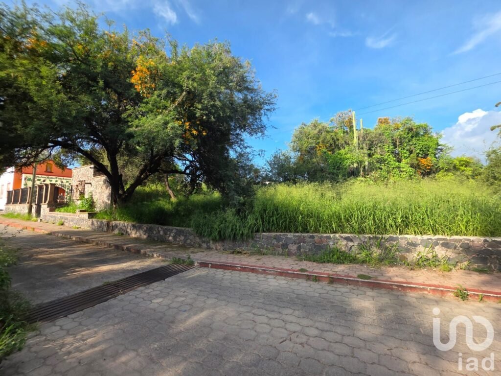 Terreno en Venta en Camino a Los Olvera