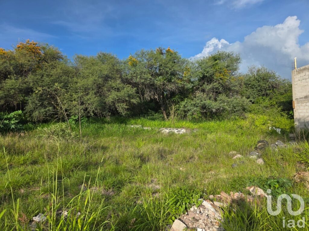 Terreno en Venta en Camino a Los Olvera