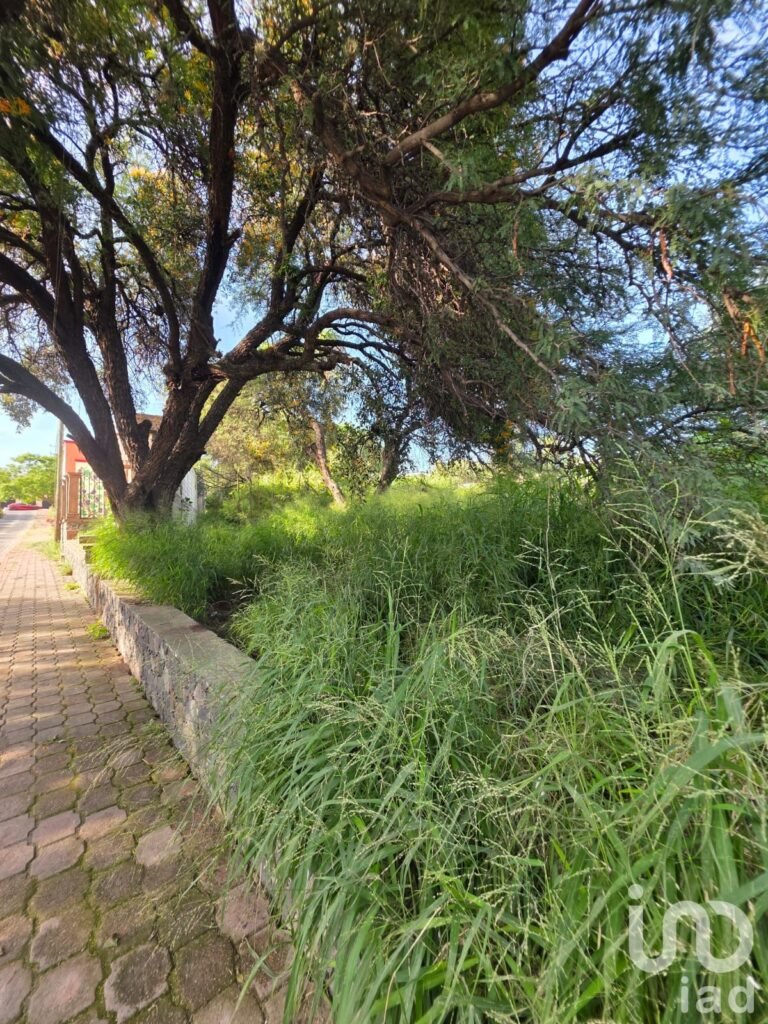 Terreno en Venta en Camino a Los Olvera