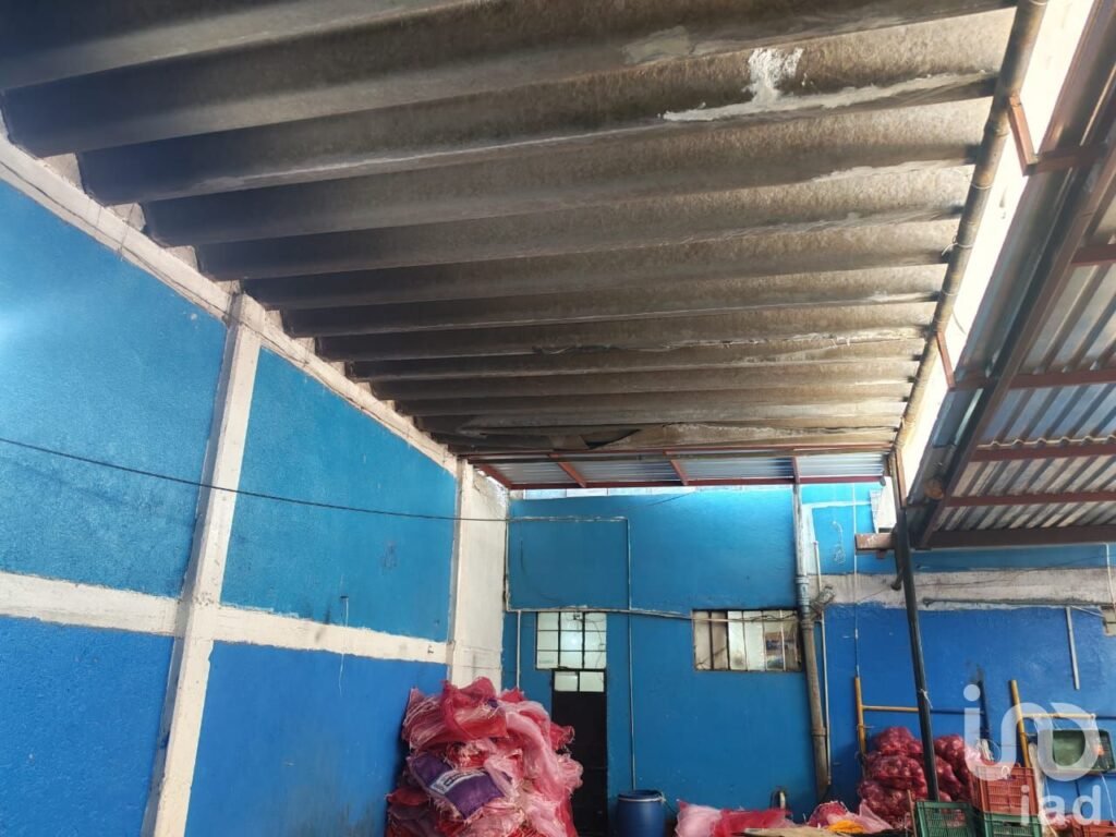 PROPIEDAD COMERCIAL EN VENTA EN LA COLONIA AGRICOLA ORIENTA, IZTACALCO