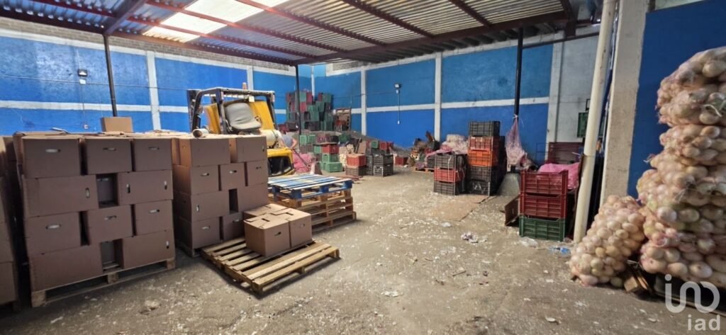 PROPIEDAD COMERCIAL EN VENTA EN LA COLONIA AGRICOLA ORIENTA, IZTACALCO