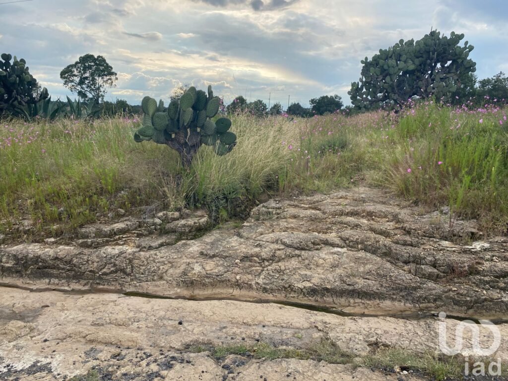 Terreno en Venta en Tetla Tlaxcala