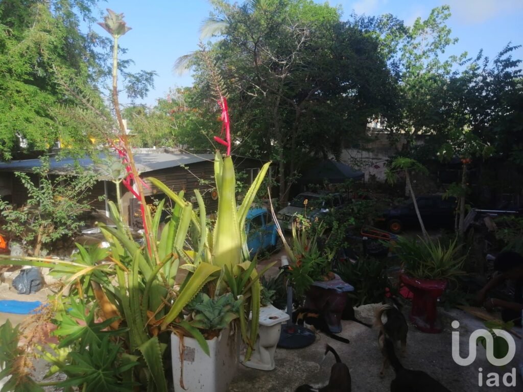 Venta de terreno habitacional para desarrollo de vivienda vertical en Cancún en avenida principal
