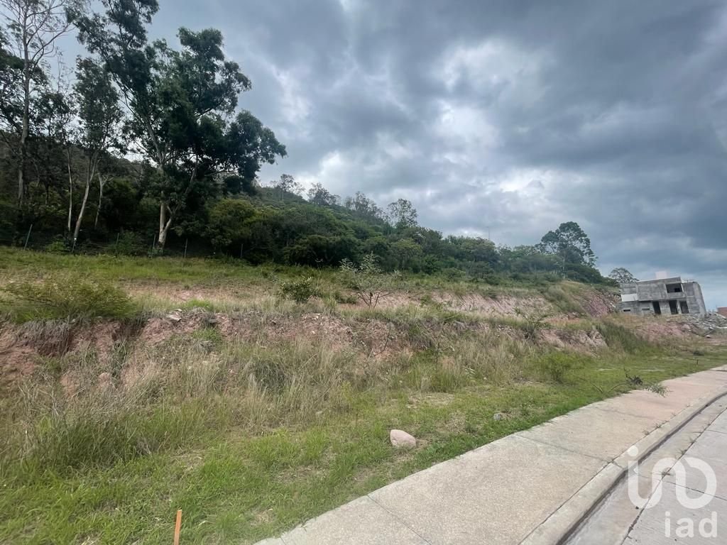 Terreno en Venta Fraccionamiento Arboledas, Tres Marías.