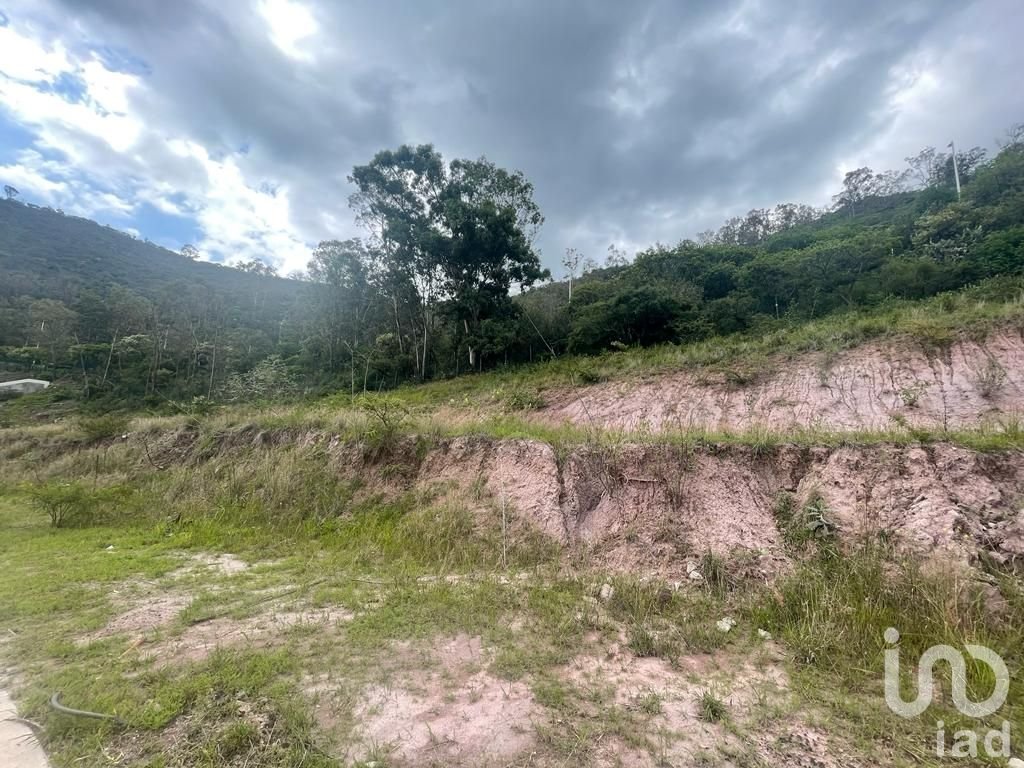 Terreno en Venta Fraccionamiento Arboledas, Tres Marías.