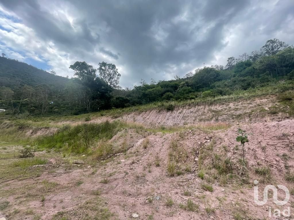 Terreno en Venta Fraccionamiento Arboledas, Tres Marías.