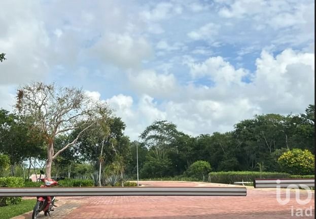 Terreno de Ciudad Maderas Caribe